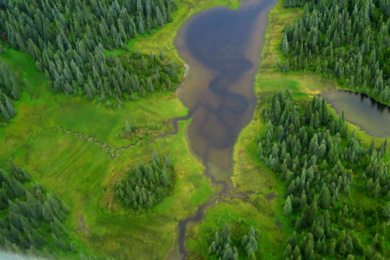 Les tribus de l'Alaska font appel à l'organisme international pour suspendre la minage canadien «téméraire»