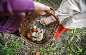 Les tribus se préparent à une perte potentielle de SNAP