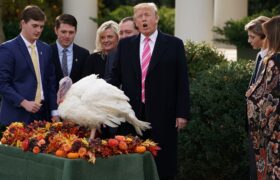 La Maison Blanche vante le « soulagement » alors que les données montrent que les prix augmentent avant Thanksgiving