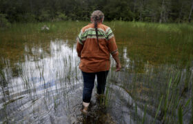 Trump bloque le projet de loi visant à restituer des terres à la tribu de Floride qui a combattu l&rsquo;alligator Alcatraz