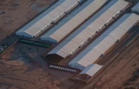 Tuberculose et COVID-19 détectés à la prison ICE du Camp East Montana à El Paso