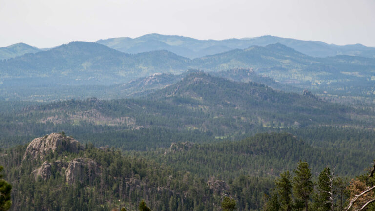 Comment les organisateurs autochtones ont déjoué les projets d’exploitation minière d’un site sacré des Black Hills