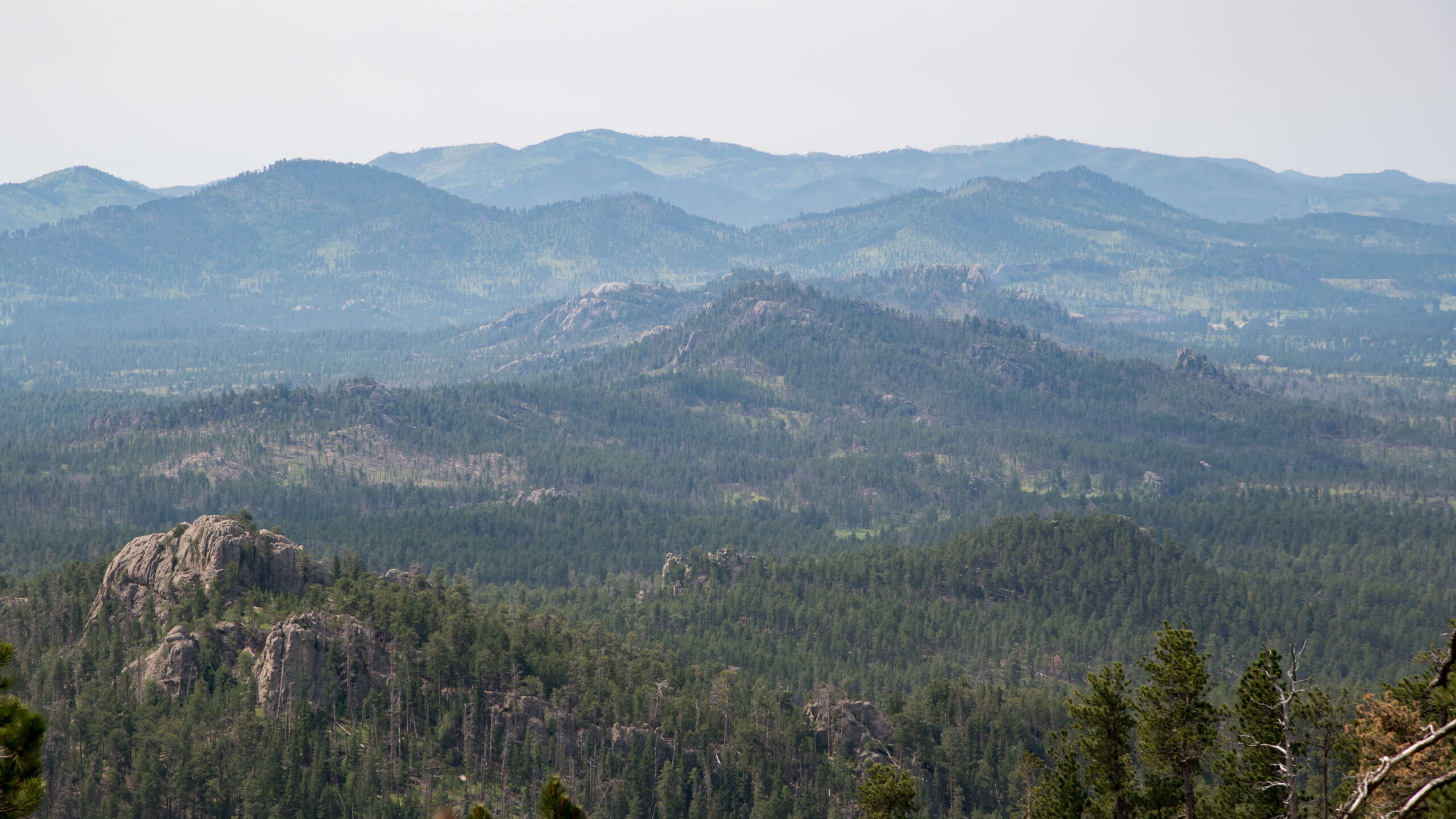 Comment les organisateurs autochtones ont déjoué les projets d’exploitation minière d’un site sacré des Black Hills