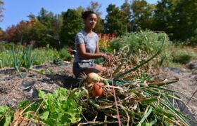 Les agriculteurs noirs préviennent que la pollution modifie la nourriture dans nos assiettes