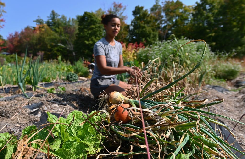 Les agriculteurs noirs préviennent que la pollution modifie la nourriture dans nos assiettes