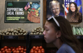 Le juge ordonne à l&rsquo;USDA de rétablir 127 millions de dollars de subventions fédérales aux agriculteurs