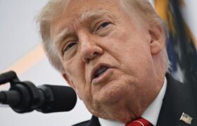 Trump incite ouvertement à la guerre raciale et appelle à la « lutte » contre les Somaliens du Minnesota